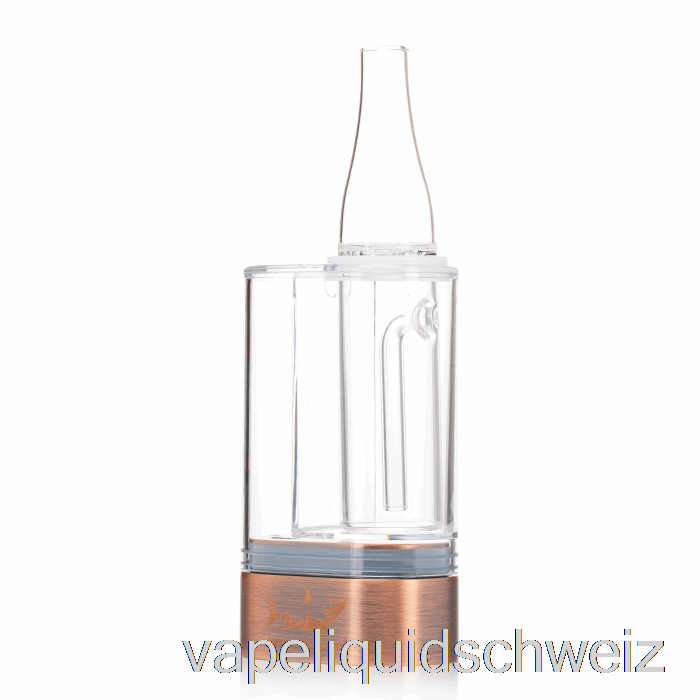 Hamilton Devices PS1 2-in-1-Kit PS1 Doppelkartuschen-Verdampfer Vape Liquid E-Liquid Schweiz